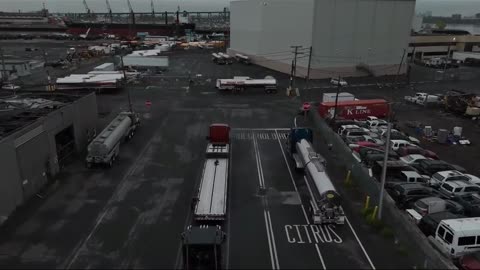 16 TRUCKS IN LINE AT PORT #ourtruckinglife #truckdriver #reallifetruckers #trucking #atruckerslife