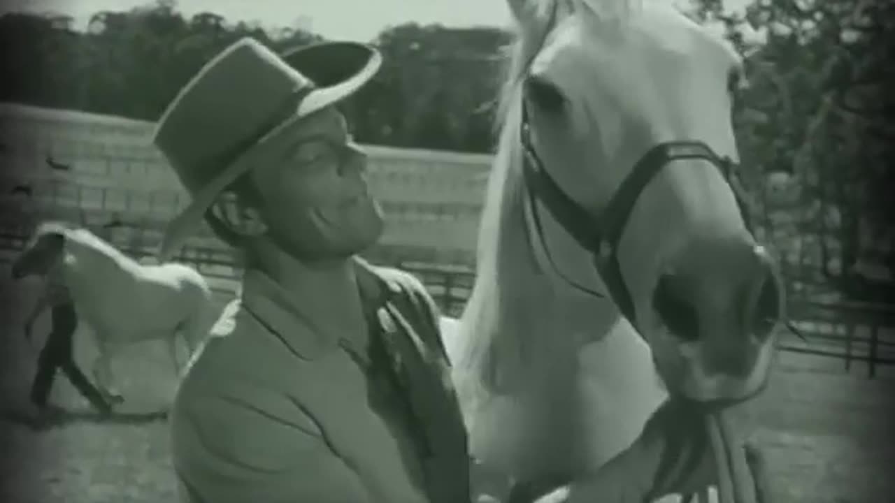 Whiplash Full - The Adelaide Arabs