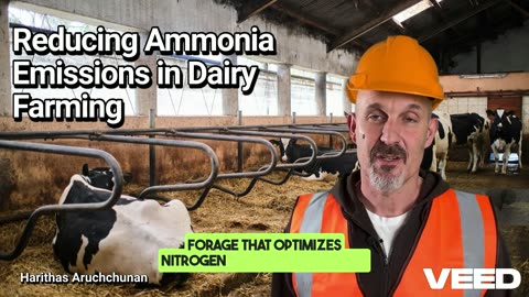 14 Smart Ways to Reduce Ammonia Emissions in Dairy Farming