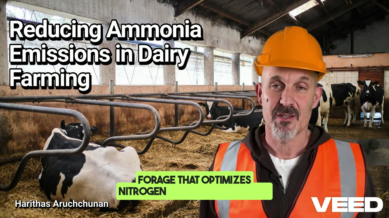14 Smart Ways to Reduce Ammonia Emissions in Dairy Farming
