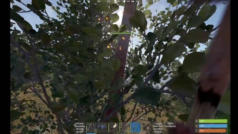 Rust PVE