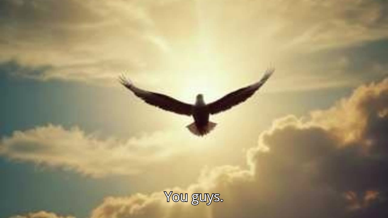 Shout for Freedom V2