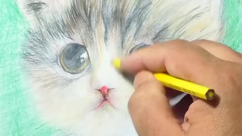 Cute Cat Drawing | Colored Pencil & Watercolor Art by SarvariArt 🎨🐾