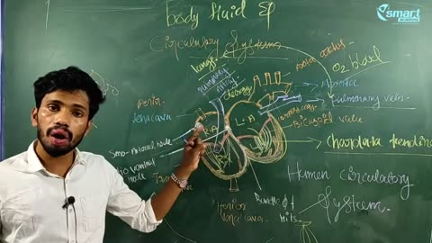 Plus Two Biology Chapter 15(1)-336