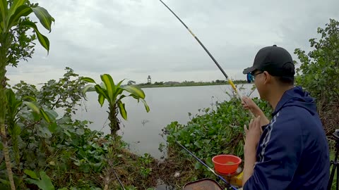 Crappie Jig Fishing in Lake Timber Zones