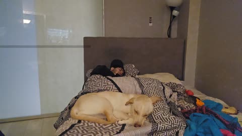 💤😴 RUMBLE PREMIUM SLEEP STREAM 😴 💤 ~ ⏰ $2 MEDIA TO TRY AND WAKE ME UP ⏰