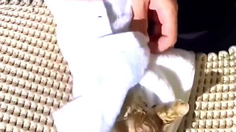 There are always heroes in everyday life