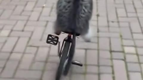 How could this even happen?🤣🤣🤣