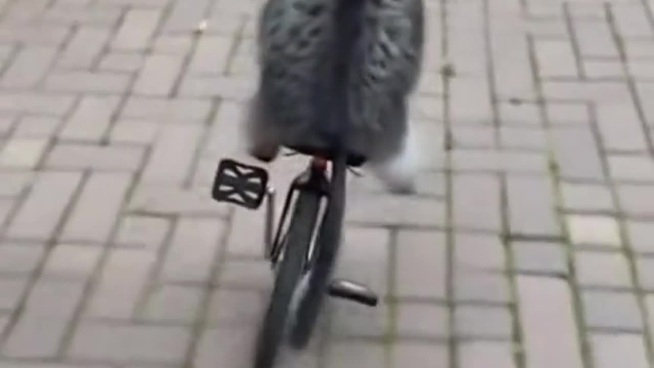 How could this even happen?🤣🤣🤣