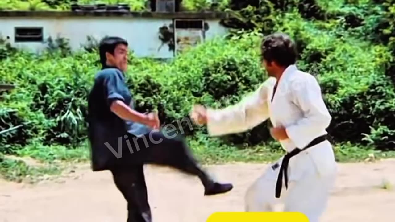 The Speed Of Bruce Lee