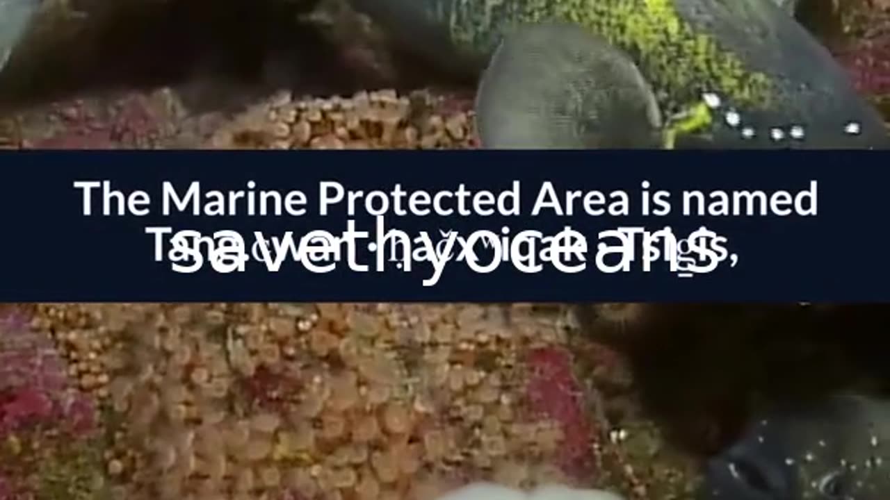 Celebrating Tang. É¢wan Â· á¸¤aÄxÊ·iqak Â· TsigÌ±i Canada's Newest Marine Protected Area