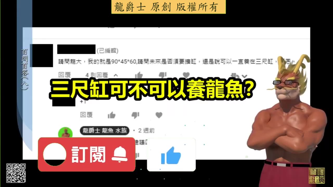 【龍爵士】千問千答 Q65 三尺缸可不可以養龍魚