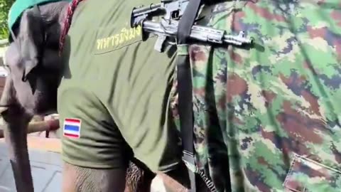 Thai army transport vehicle