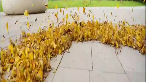 Clean Your Yard in Seconds — Amazon Find!