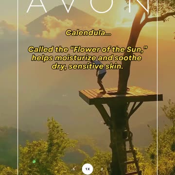 The Face Shop Calendula Essential Moisture Cream