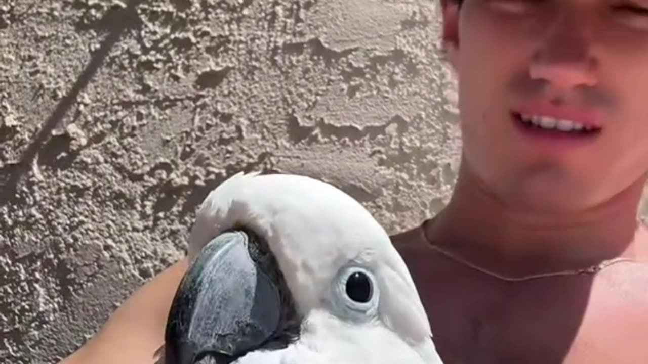 sexy man - with his bird