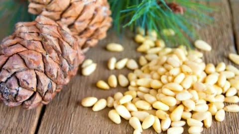 सर्दी में चिलगोज़ा खाने के फायदे #short #health #viarl