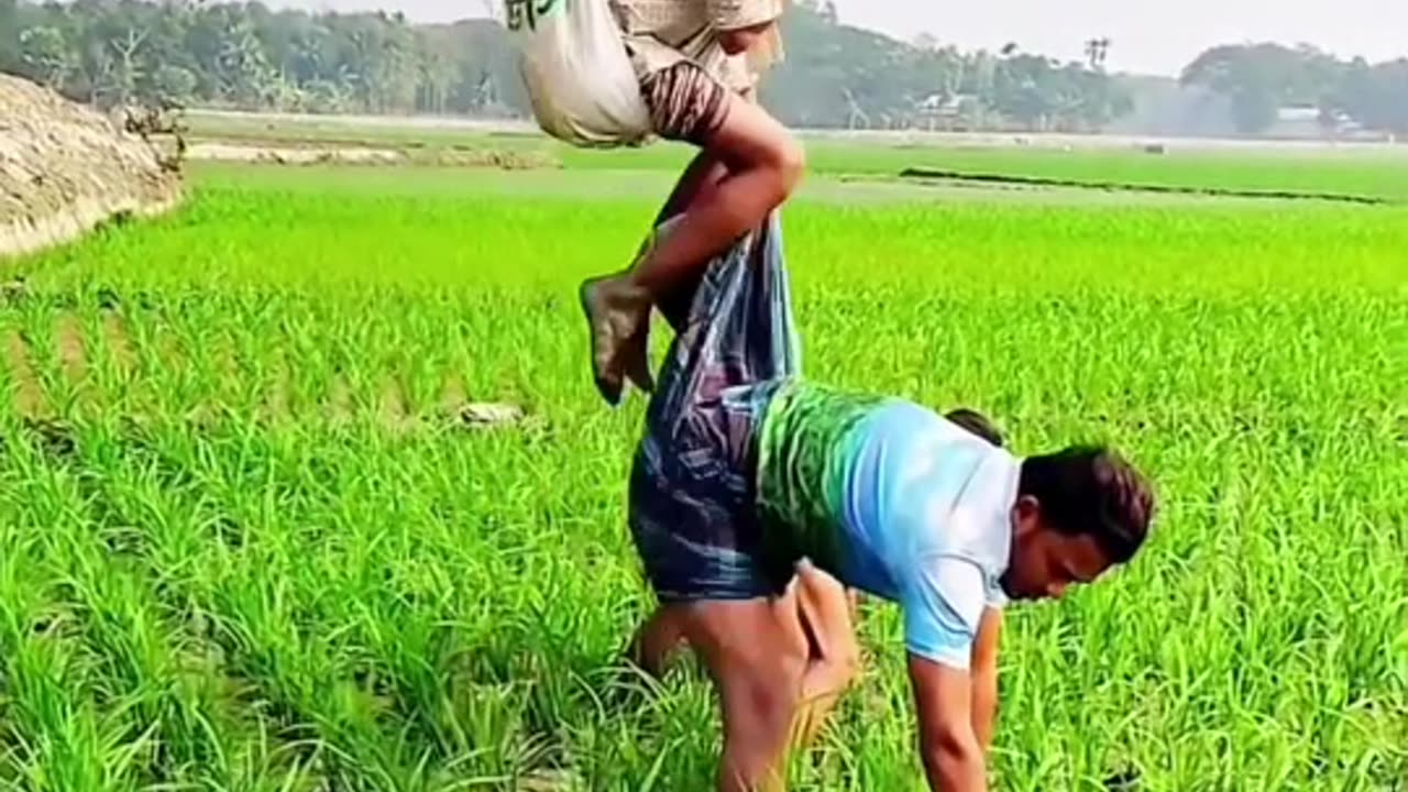 Short Video
