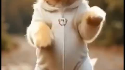 Cute Dog dance