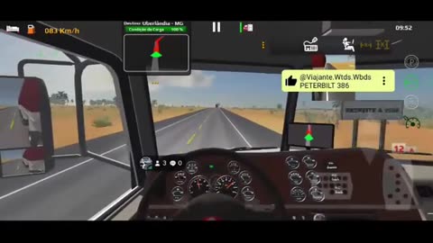 WTDS PETERBILT 386