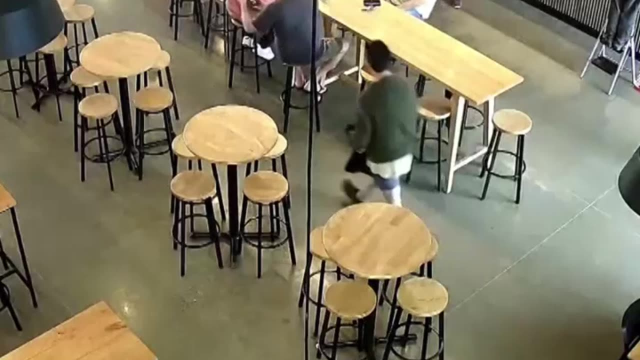 Una cría de foca se convierte en cliente inesperado de un bar