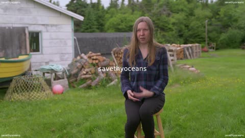 Rebuilding Capelin Everybodyâs Fish