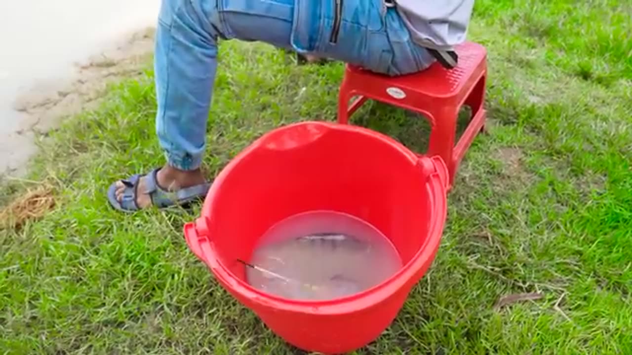 Must Watch New Funny Video 2022 Top New Comedy Video 2022 Try To Not Laugh Episode 169 By #Funny Day