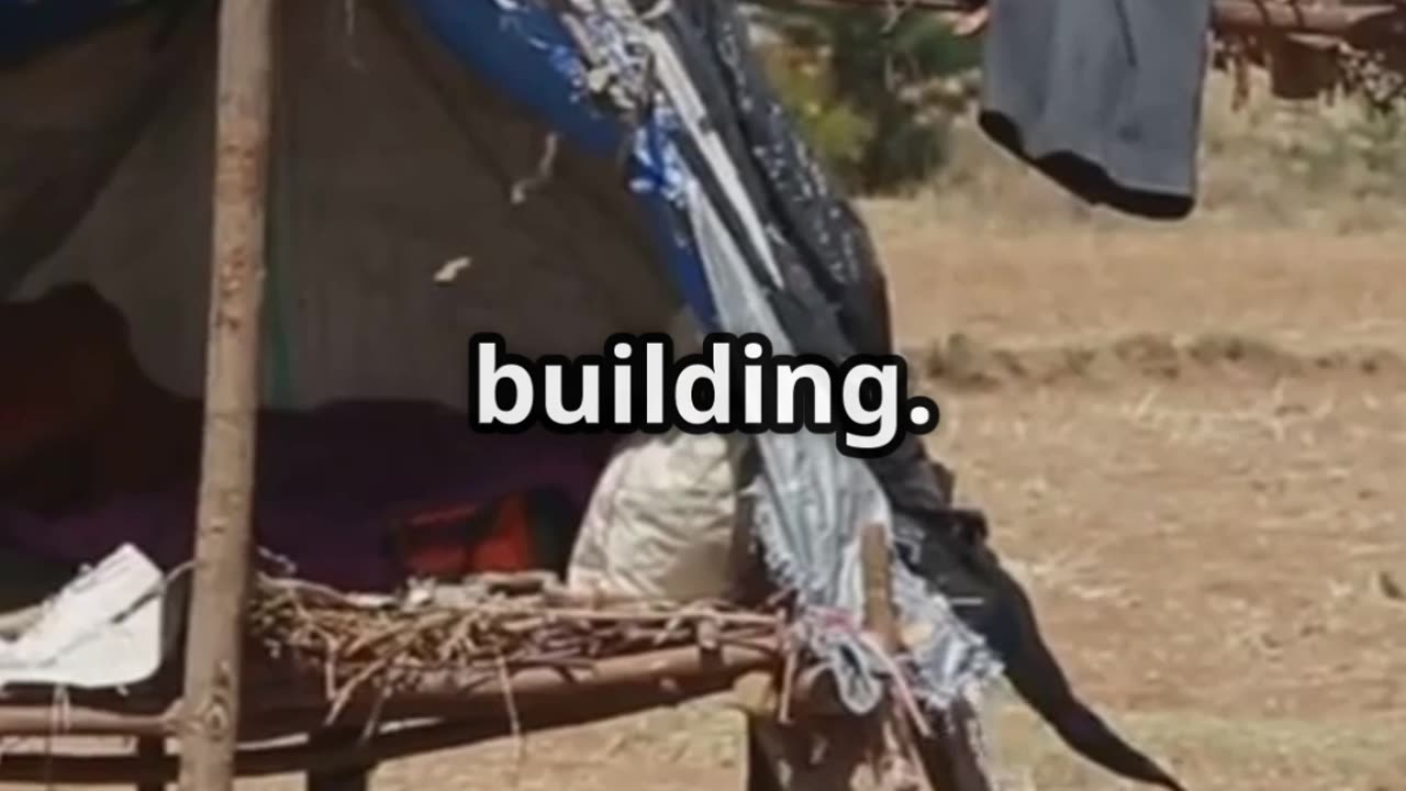 Top 5 Must Have Skills for the Apocalypse!