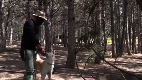 Cooking a very sexy and weird Picanha Steak in the Nature🔥🌲