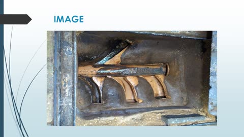 Best Squirrels Control in Henlow Camp