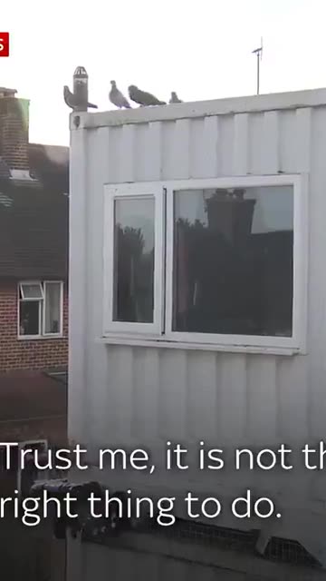 Islamic family in UK lives in a container used as an apartment with 4 children without paying