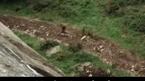 Movie clip Febric8
