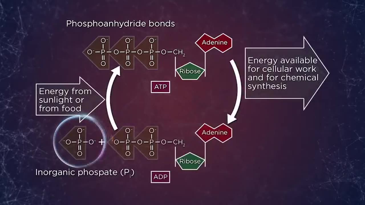 Tgc1350 S01e53 Poisons, Toxins, And Venoms-54