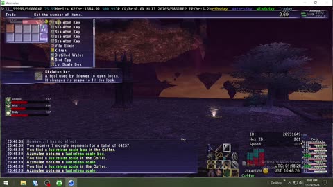 Playing Final Fantasy XI Online