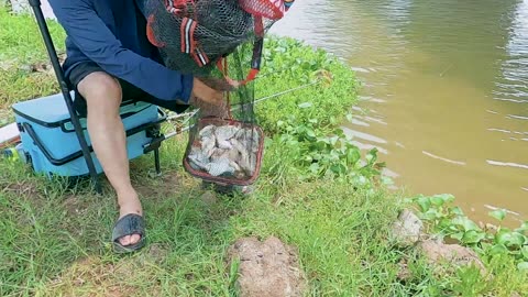 Minnow Spin Fishing in Stream Clear Waters