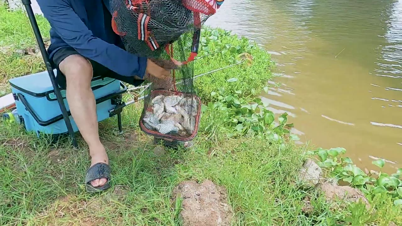 Minnow Spin Fishing in Stream Clear Waters