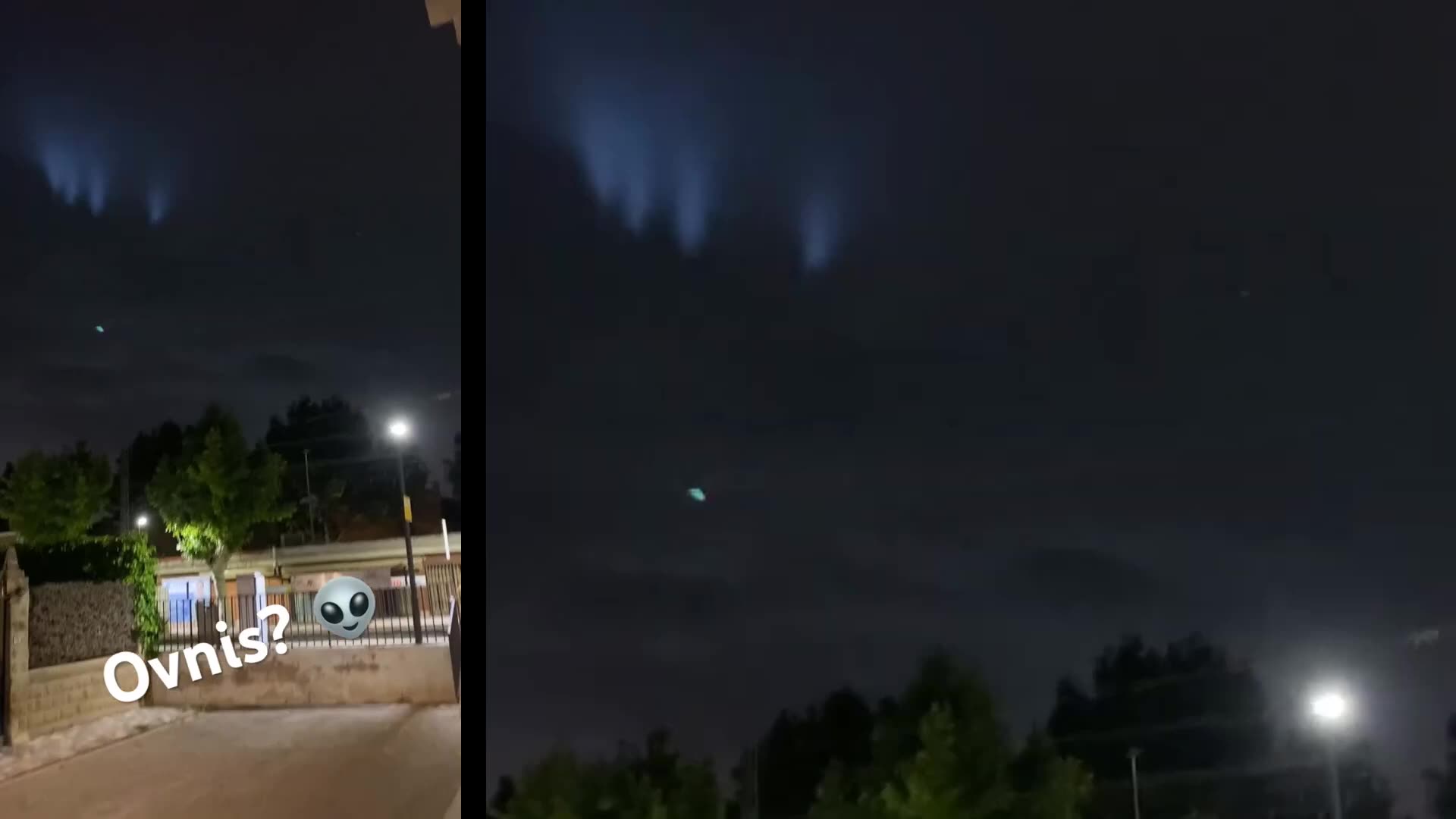 Shocking Footage! A tree-like creature suddenly disappeared!