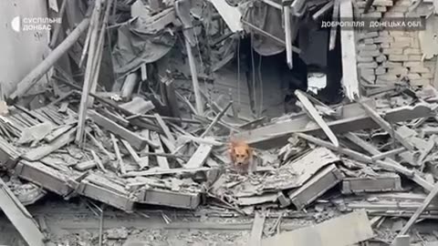 💥🇺🇦 Ukraine Russia War | Couple's Firsthand Account of Russian Airstrikes in Dobropillia | RCF