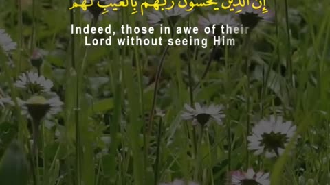 It Was Too Late to Believe! | Surah Al-Mulk 10–13 | Regret in the Afterlife | Al Qamar Production