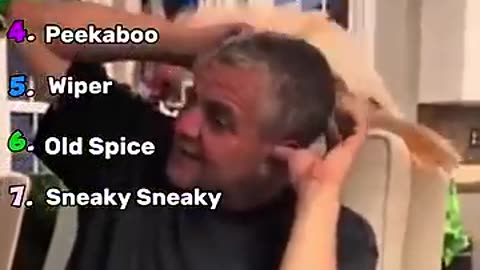 BEST PARROT MOMENTS