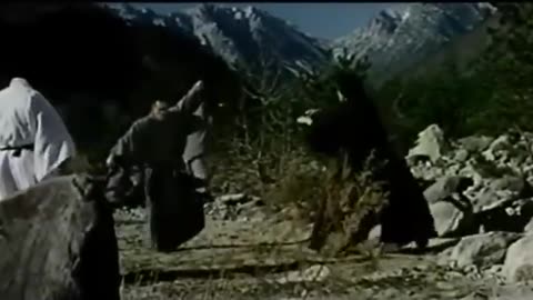 Revenge Of The Ninja, Starring Bruce Lee.