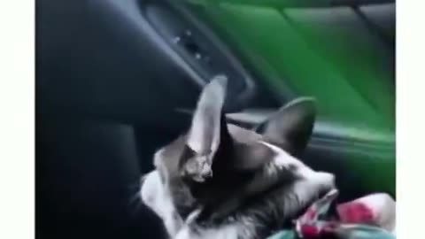 When My Song Comes On