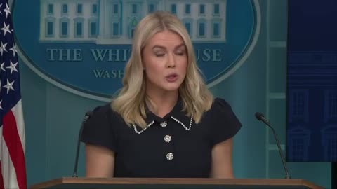 Karoline Leavitt holds a press briefing 12 aug