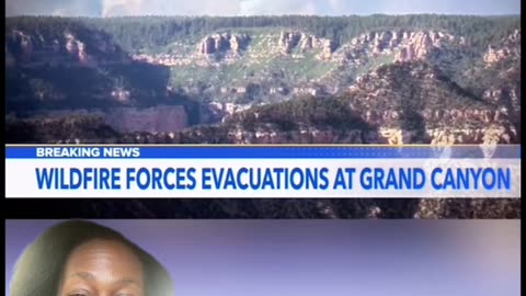 They’re calling it wildfires, I’m calling it a purge!