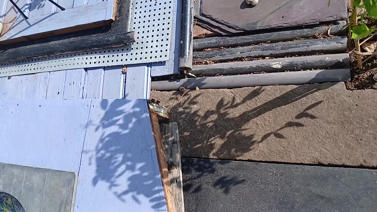 There is such a beautiful peace and slow motion