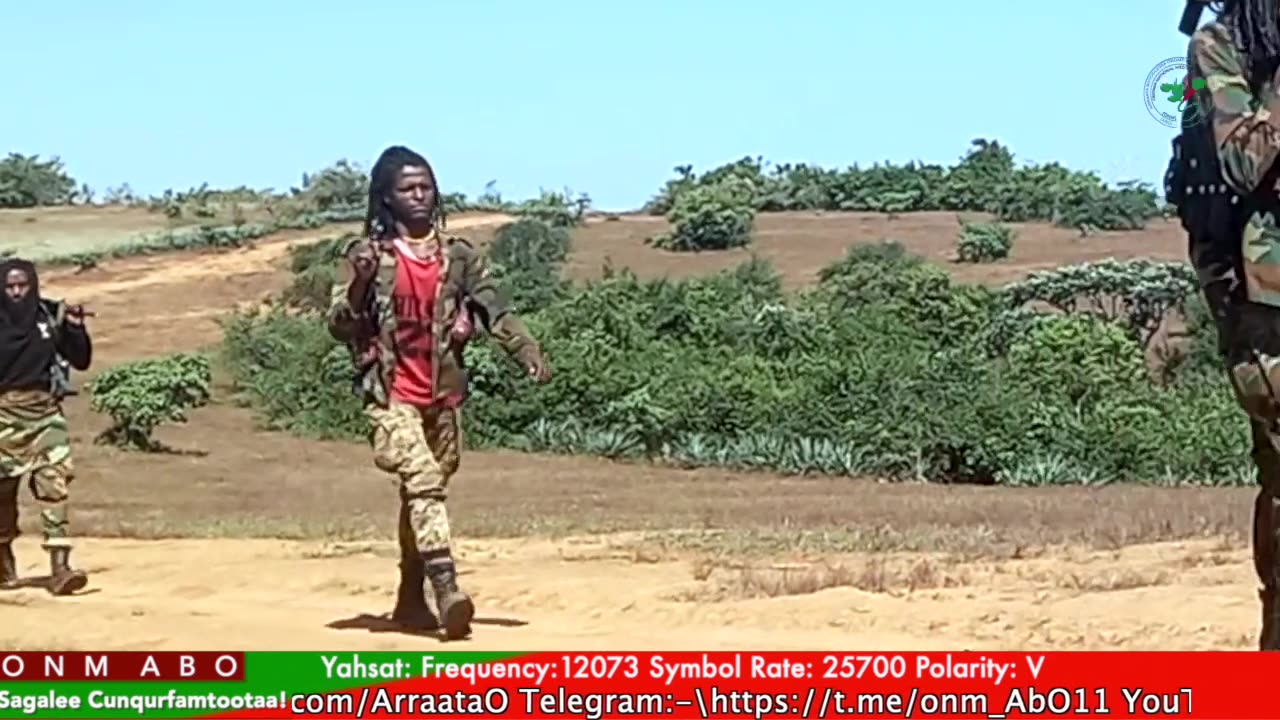 Gabaasa Tarkaanfii ONM-ABO Bitootessa 29-2025 itti dhiyaadhaa!