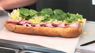 580 Calorie SUBWAY Low Fat Diet Weight Loss Sandwiches Only 10 Bucks!