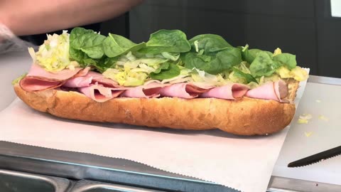 580 Calorie SUBWAY Low Fat Diet Weight Loss Sandwiches Only 10 Bucks!