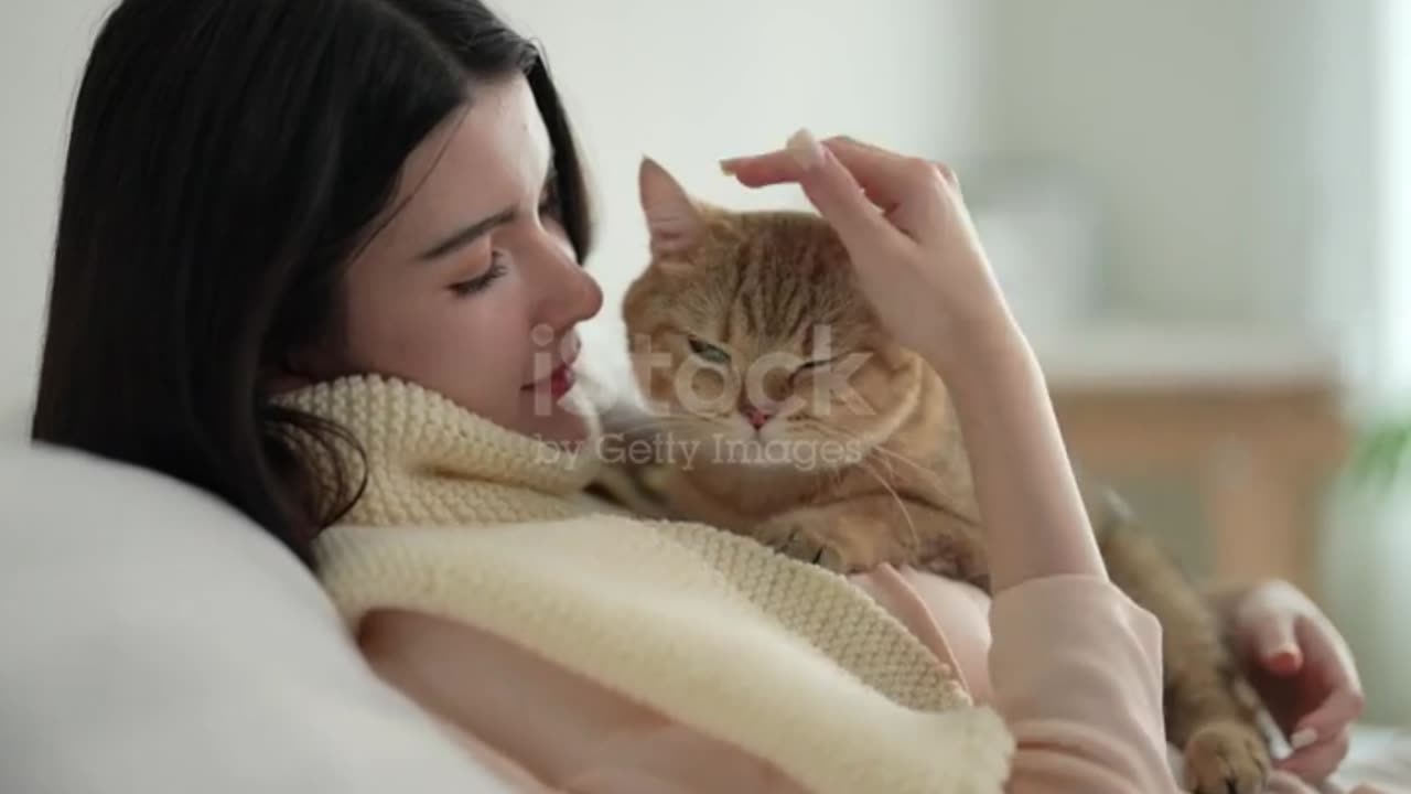 Dog And Man, Best Dog And Cat