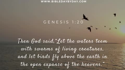Let birds fly above the earth
